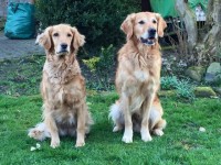 Onia Und Madoc